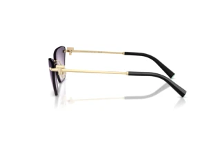 Vista laterale Tiffany TF3120 (62438H)