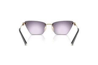 Vista posteriore Tiffany TF3120 (62438H)