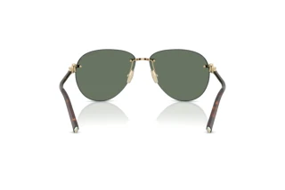 Vista posteriore Tiffany TF3124 (60213H)