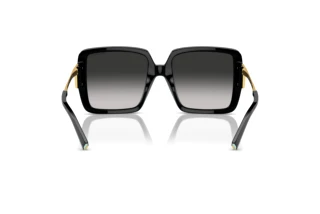 Vista posteriore Tiffany TF4212U (80013C)