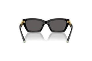 Vista posteriore Tiffany TF4213 (8001S4)