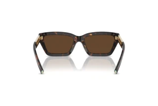 Vista posteriore Tiffany TF4213 (80153G)