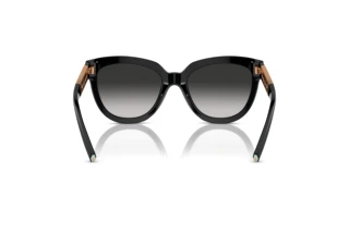 Vista posteriore Tiffany TF4215 (80013C)