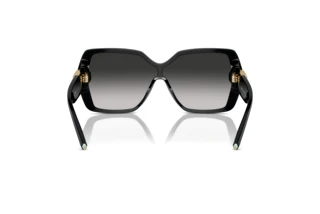 Vista posteriore Tiffany TF4219 (80013C)