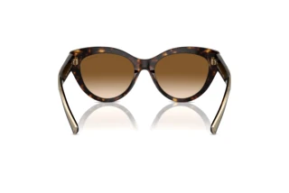 Vista posteriore Tiffany TF4220 (801551)