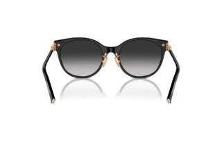 Vista posteriore Tiffany TF4223D (80013C)