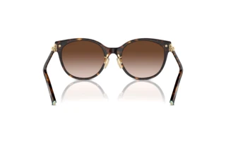 Vista posteriore Tiffany TF4223D (80153B)