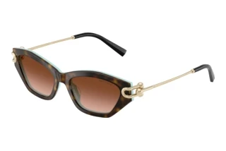 Vista frontale Tiffany TF4231U (81343B)