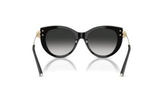 Vista posteriore Tiffany TF4232 (80013C)