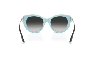 Vista posteriore Tiffany TF4232 (80553C)