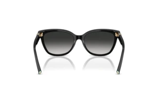 Vista posteriore Tiffany TF4237B (80013C)