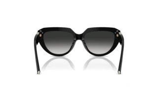 Vista posteriore Tiffany TF4238U (80013C)