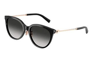 Tiffany TF 4243D 80013C