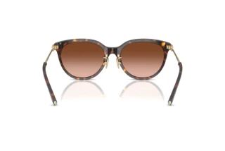 Vista posteriore Tiffany TF4243D (80153B)