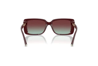 Vista posteriore Tiffany TF4249 (8389V5)