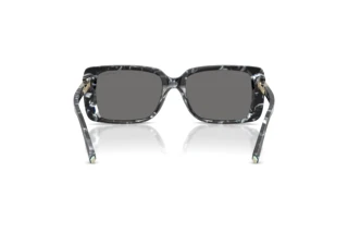 Vista posteriore Tiffany TF4249 (842881)