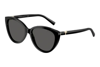 Vista frontale Tiffany TF4251 (8001S4)