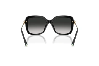 Vista posteriore Tiffany TF4252B (80013C)