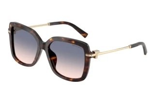 Vista frontale Tiffany TF4252B (801516)