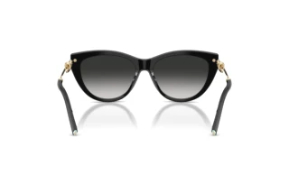 Vista posteriore Tiffany TF4253 (80013C)