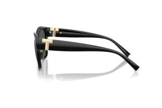 Vista laterale Tiffany TF4254U (8001S4)