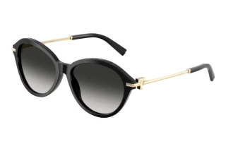 Vista frontale Tiffany TF4259 (80013C)