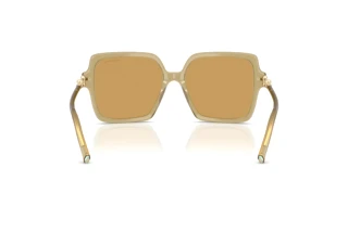 Vista posteriore Tiffany TF4260U (846173)