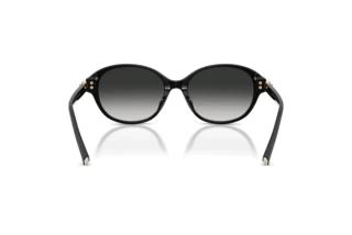 Vista posteriore Tiffany TF4263D (80013C)