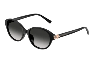 Vista frontale Tiffany TF4263D (80013C)