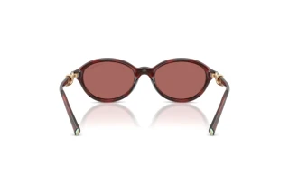 Vista posteriore Tiffany TF4266U (847269)