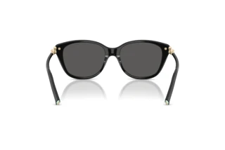 Vista posteriore Tiffany TF4267 (8001S4)