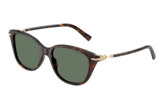 Vista frontale Tiffany TF4267 (80153H)