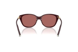 Vista posteriore Tiffany TF4267 (847069)