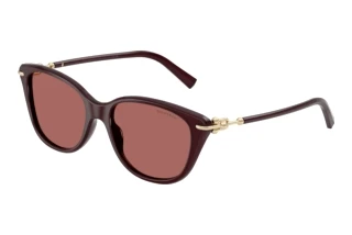 Vista frontale Tiffany TF4267 (847069)