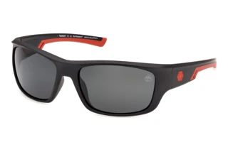 Vista frontale Timberland TB00093 (02D)