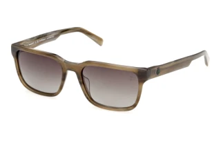 Vista frontale Timberland TB00099 (61R)