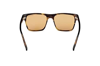 Vista posteriore Tom Ford CALDER (FT1205 - 56E)
