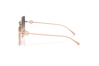 Vista laterale Tory Burch TY6118D (3358G9)