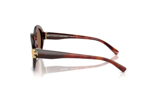 Vista laterale Tory Burch TY7210U (201173)