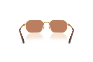 Vista posteriore Versace VE2297 (100273)