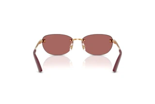 Vista posteriore Versace VE2307 (152369)