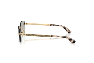 Vista laterale Versace VE2307 (15238V)