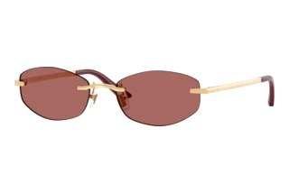 Vista frontale Versace VE2308D (152369)