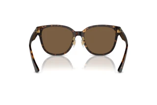 Vista posteriore Versace VE4460D (108/73)