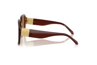 Vista laterale Versace VE4472D (5028/O)