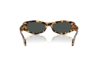 Vista posteriore Versace VE4487 (777/87)