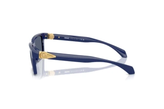 Vista laterale Versace VE4490U (545087)