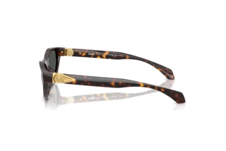 Vista laterale Versace VE4491U (108/87)