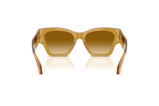 Vista posteriore Versace VE4492U (53472L)