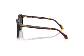Vista laterale Versace VE4493D (108/87)